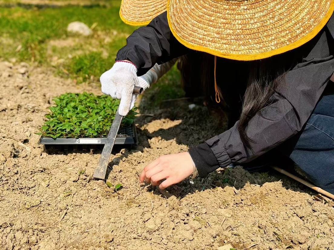 da27ee45e7ab6a454a232bcf1e73f4a6